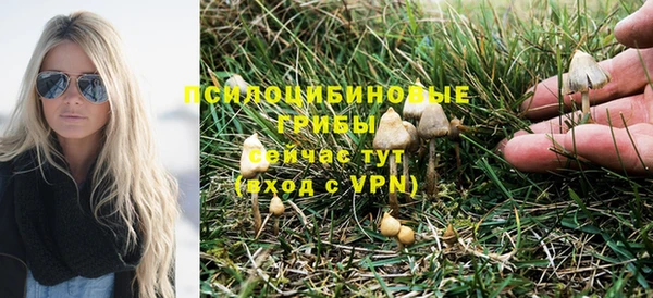 2c-b Арсеньев