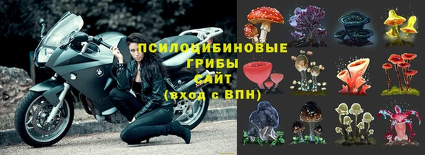ECSTASY Пролетарск